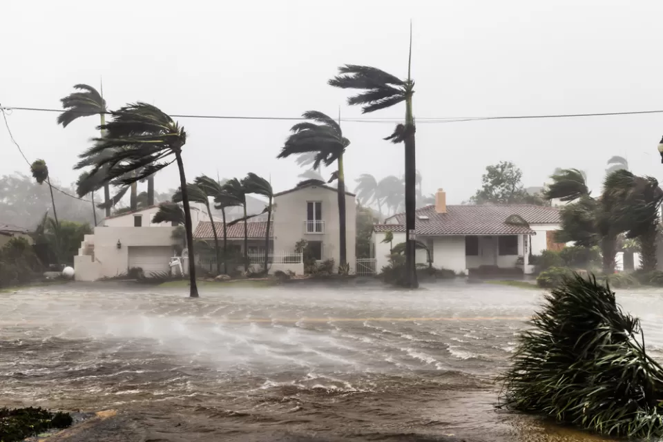 Flooded street with palm trees bending in the wind during Hurricane Irma in Ft. Lauderdale, Florida